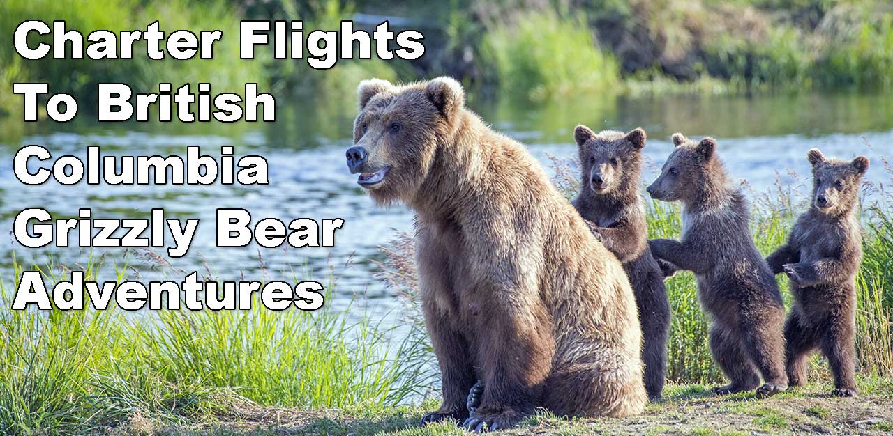 Prince Rupert Charter Flights 3 Competitive Quotes